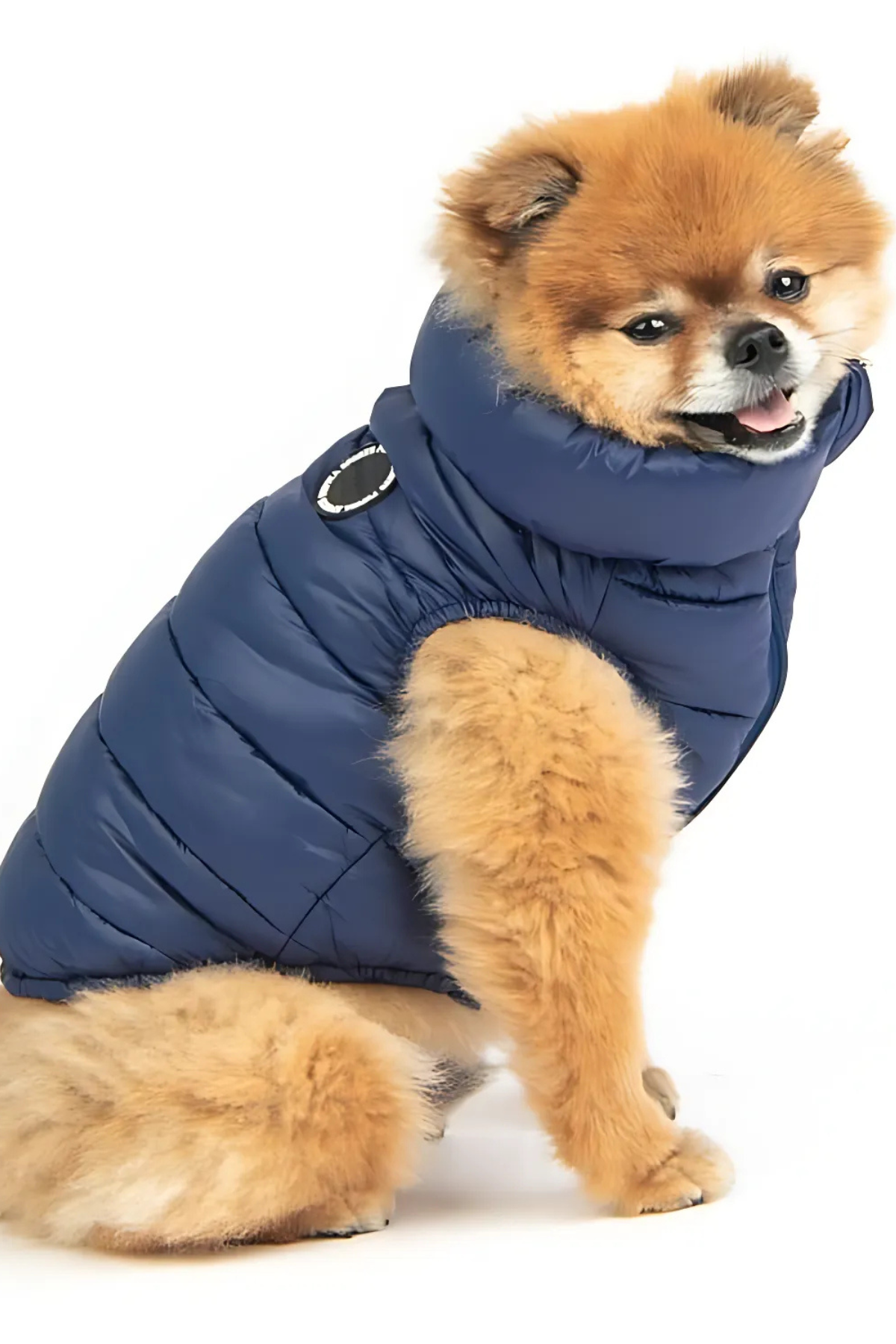 Puppia Puffer Yelek Lacivert