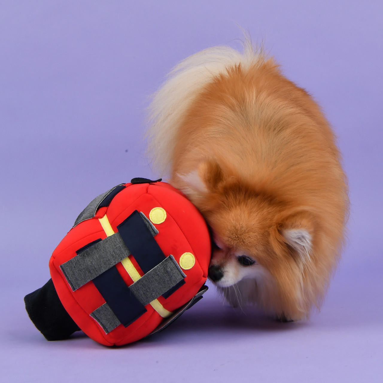 Puppia Pup Otobüs Aktivite Oyuncak Kırmızı