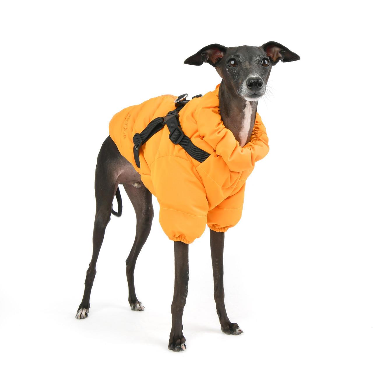 Puppia Soft Jumper Tasmalı Köpek Montu Turuncu