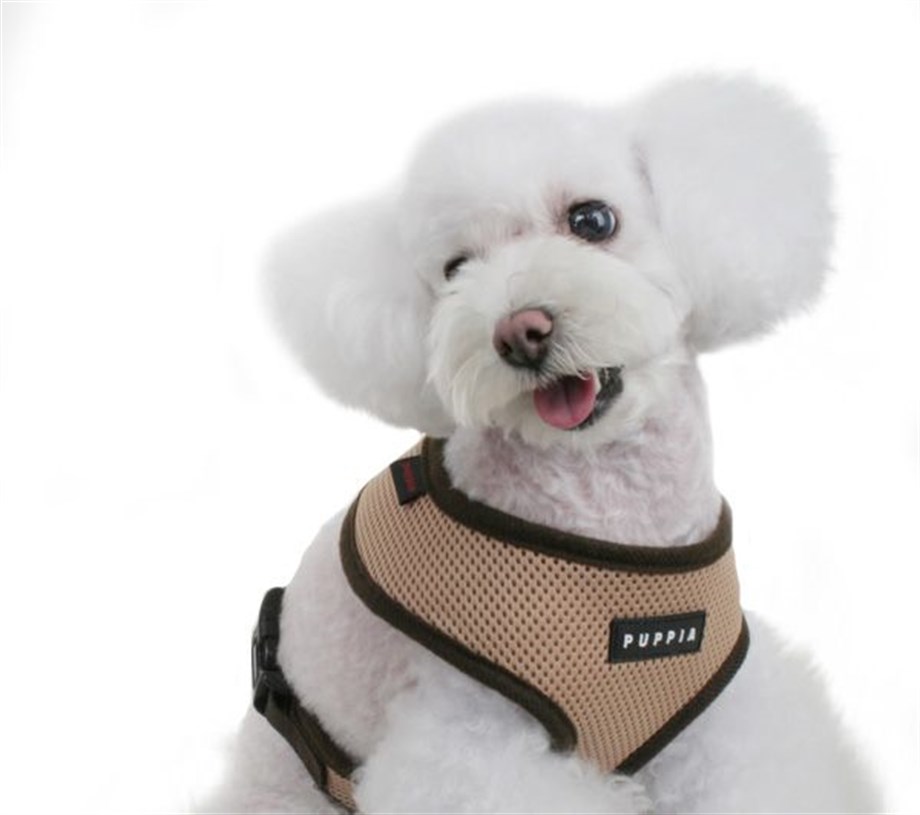 Puppia Soft Köpek Tasma Bej