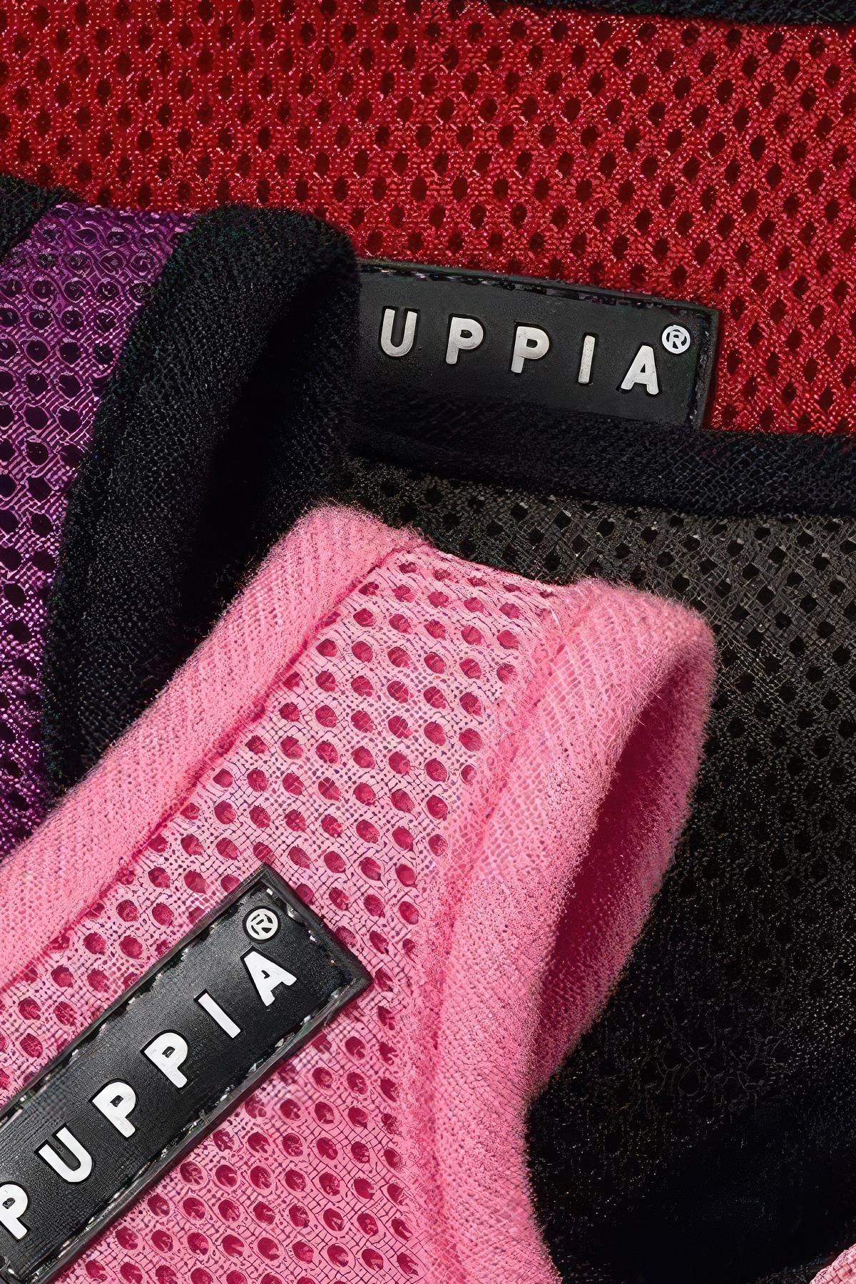 Puppia Soft Köpek Tasma Kahverengi