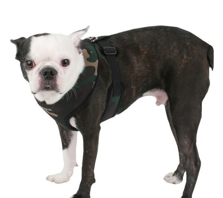 Puppia Soft Dog Tasma Camouflage