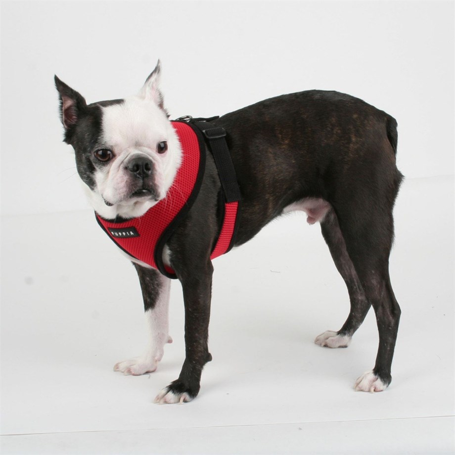 Puppia Soft Dog Passing Red