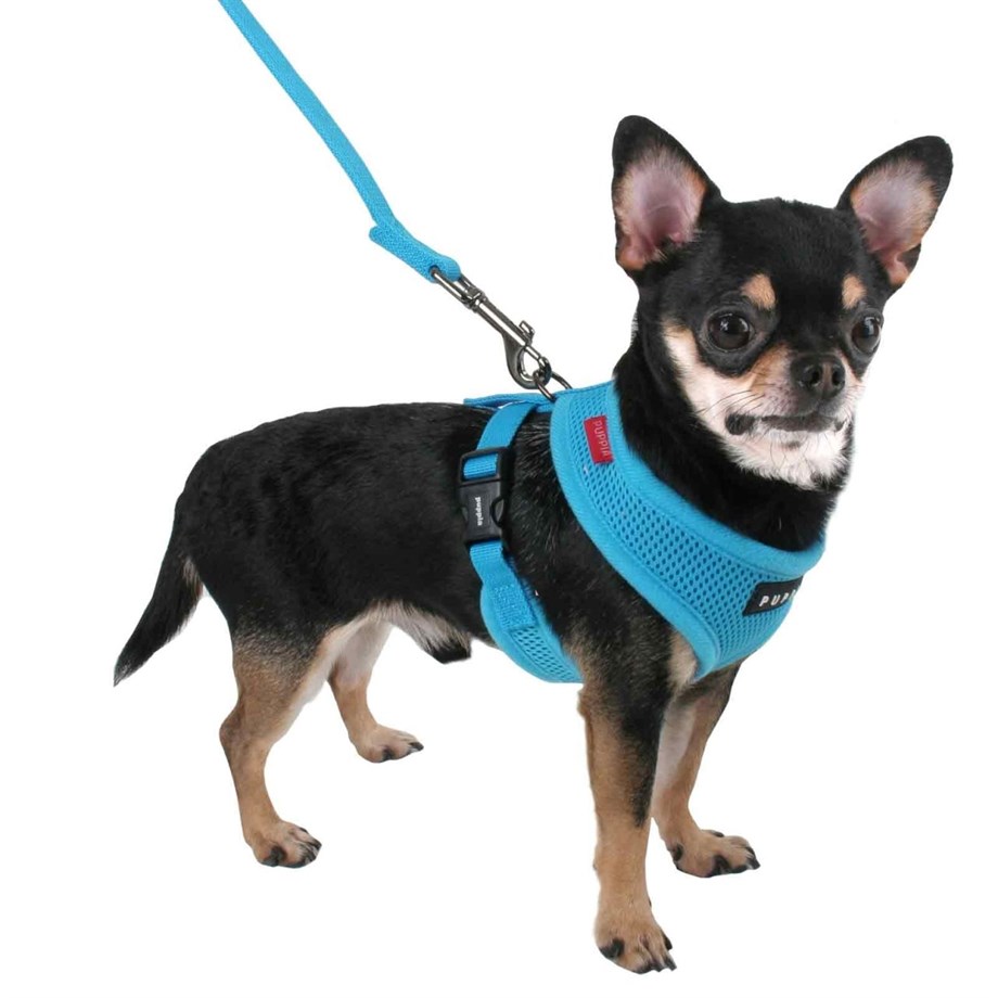 Puppia Soft Dog Tasma Blue