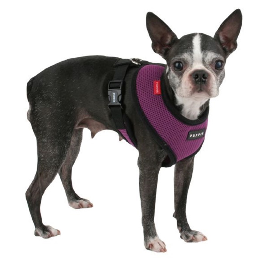 Puppia Soft Köpek Tasma Mor