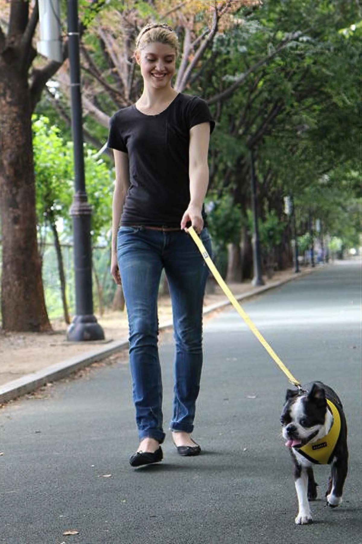 Puppia Soft Dog Tasma Yellow