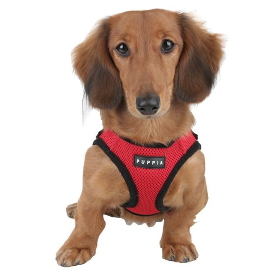 Puppia Soft Vest Köpek Yelek Tasma Kırmızı