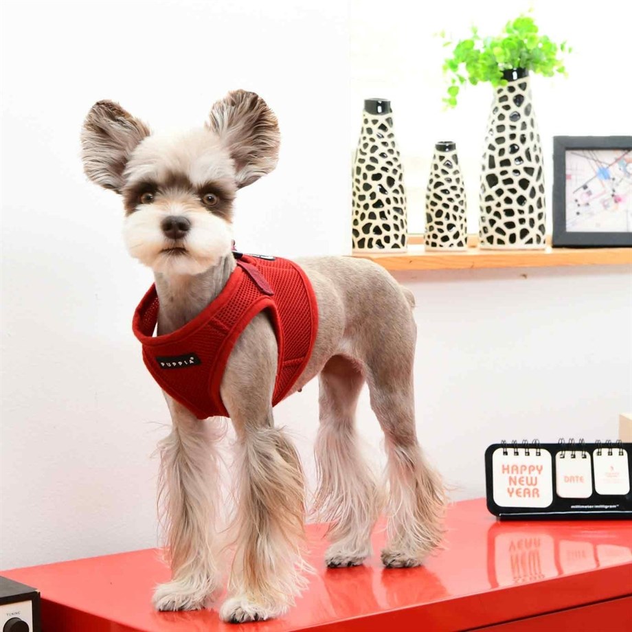 Puppia Soft Vest Köpek Yelek Tasma Wine