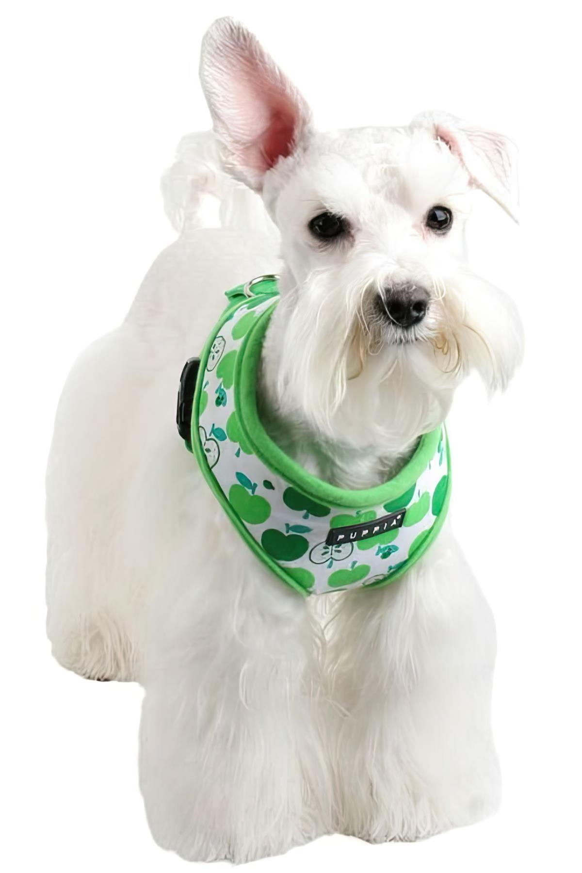 Puppia S&S Tasma Green