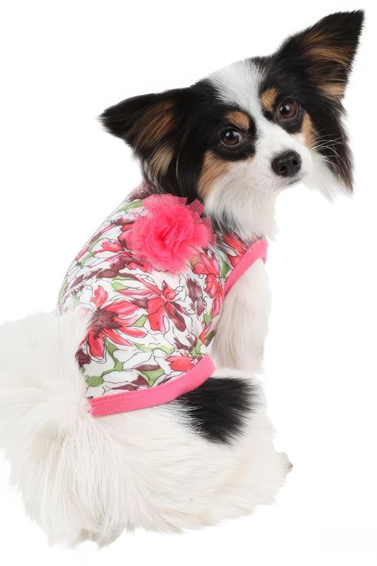 Puppia Sultry Pembe T-Shirt
