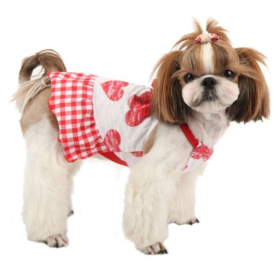 Puppia Witty Elbise Kırmızı