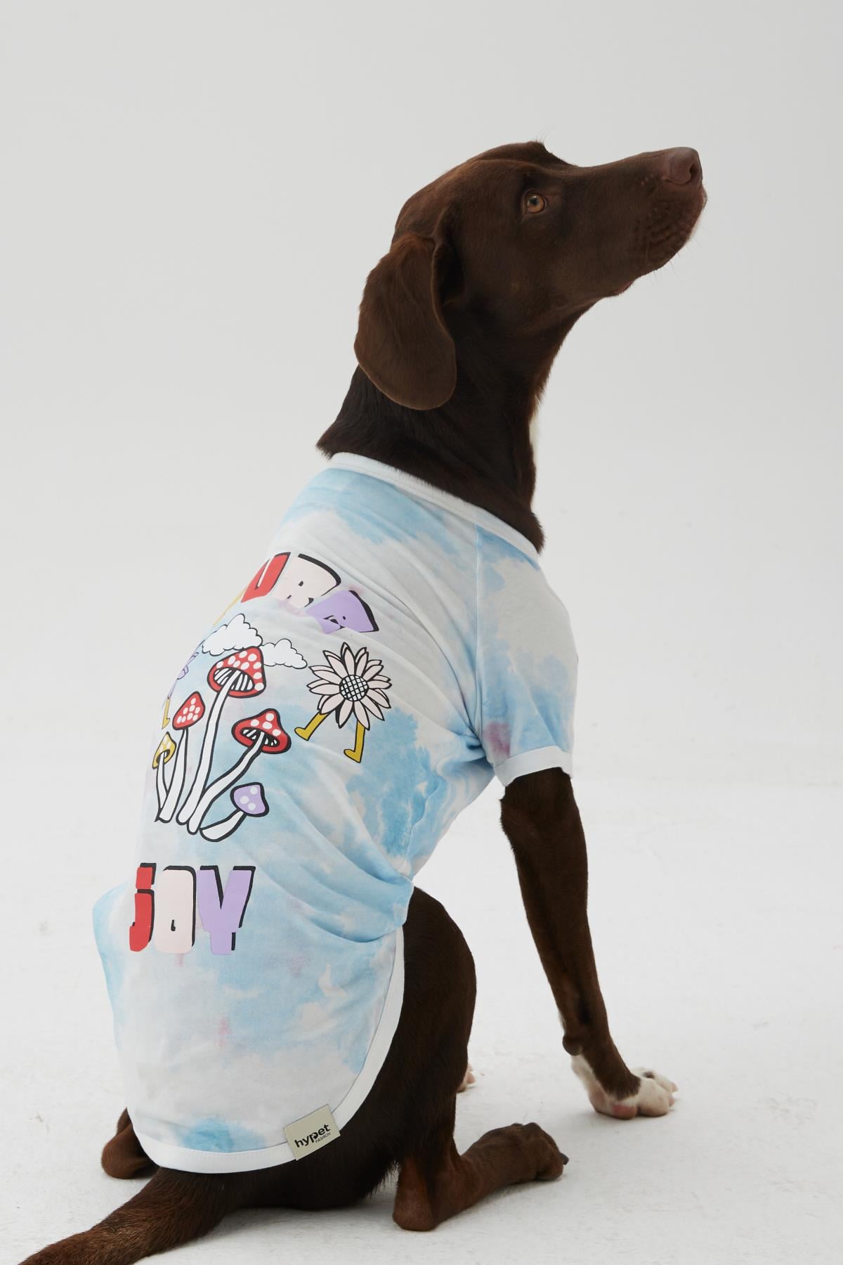 Hypet Fashion Pure Joy Tee