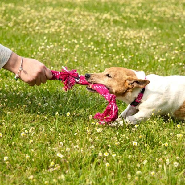 Rogz Scrubz Medium Köpek Sesli Oyuncak 44 cm Yeşil