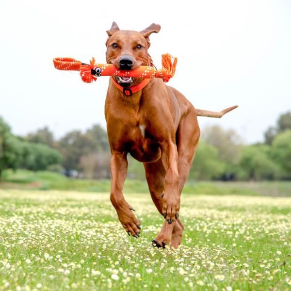 Rogz Scrubz Large Köpek Sesli Oyuncak 54 cm Kırmızı