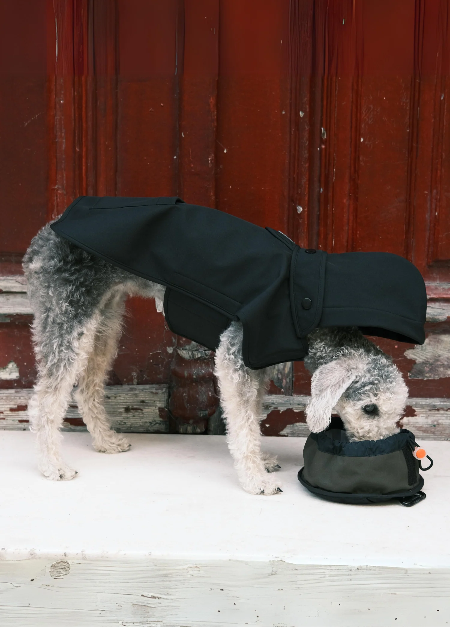 St. Pia Pluvio Raincoat Black Köpek Yağmurluk