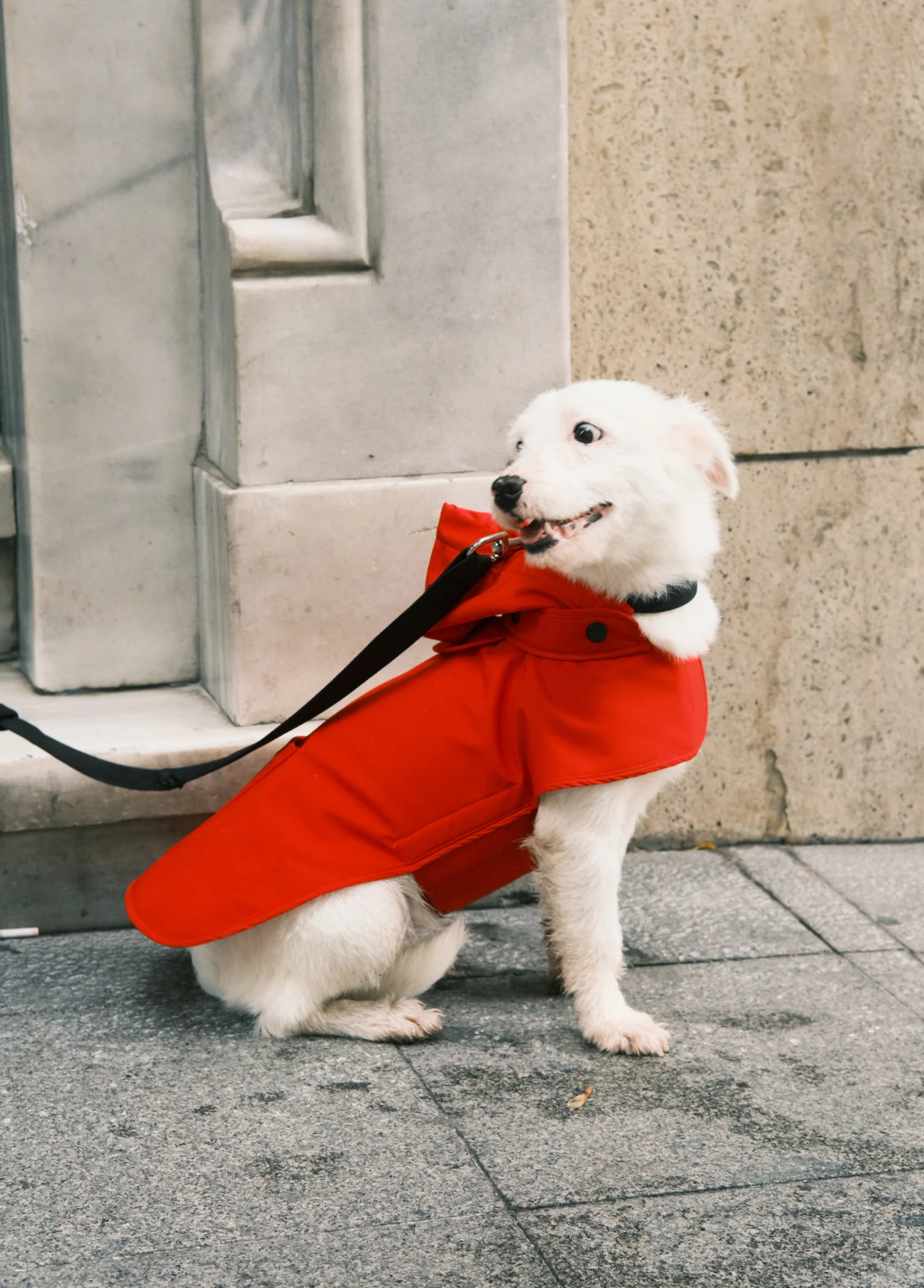 St. Pia Pluvio Raincoat Red Köpek Yağmurluk