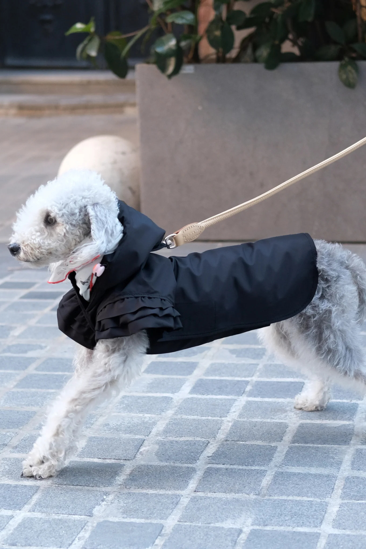 St. Pia Flutter Köpek Yağmurluğu