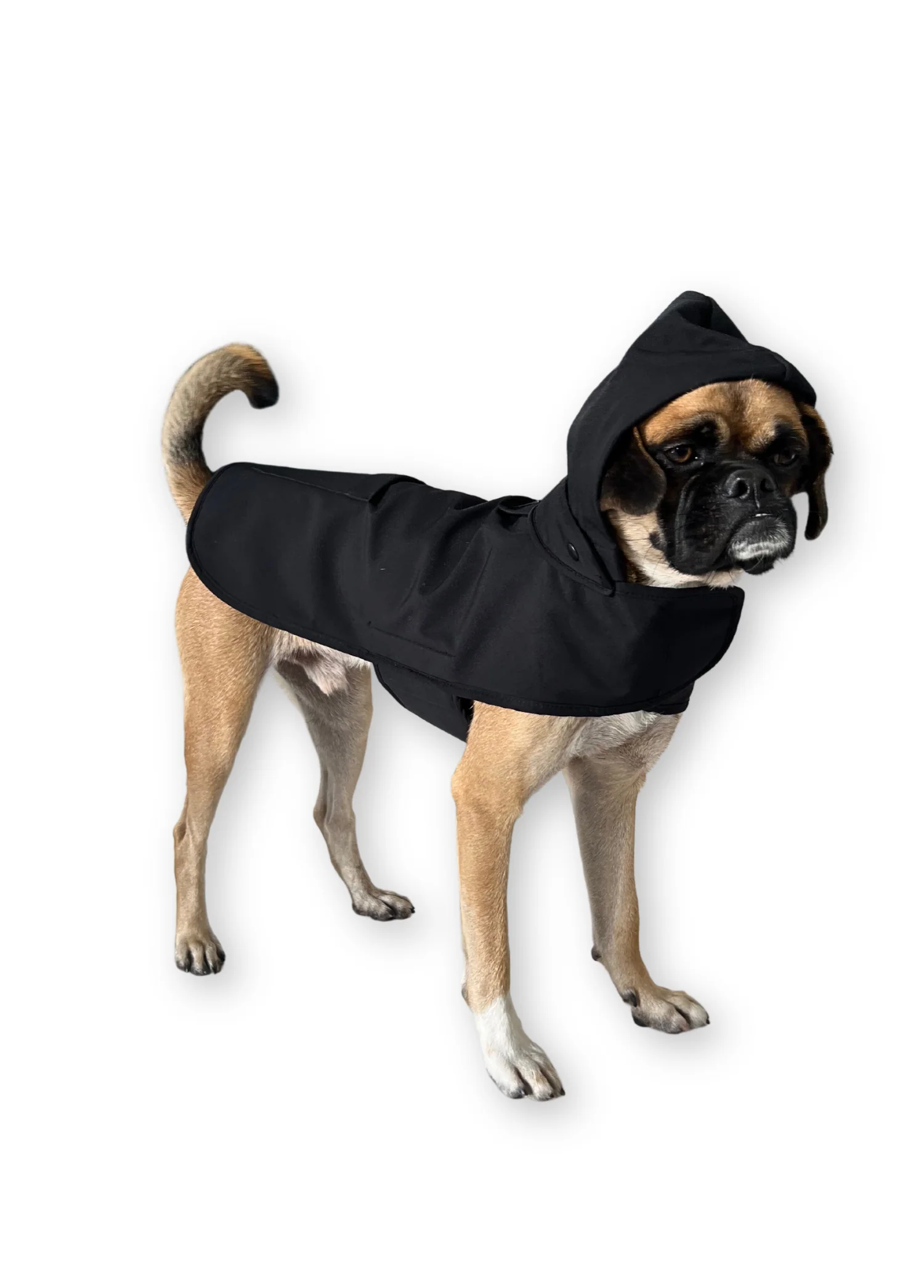St. Pia Pluvio Raincoat Black Köpek Yağmurluk