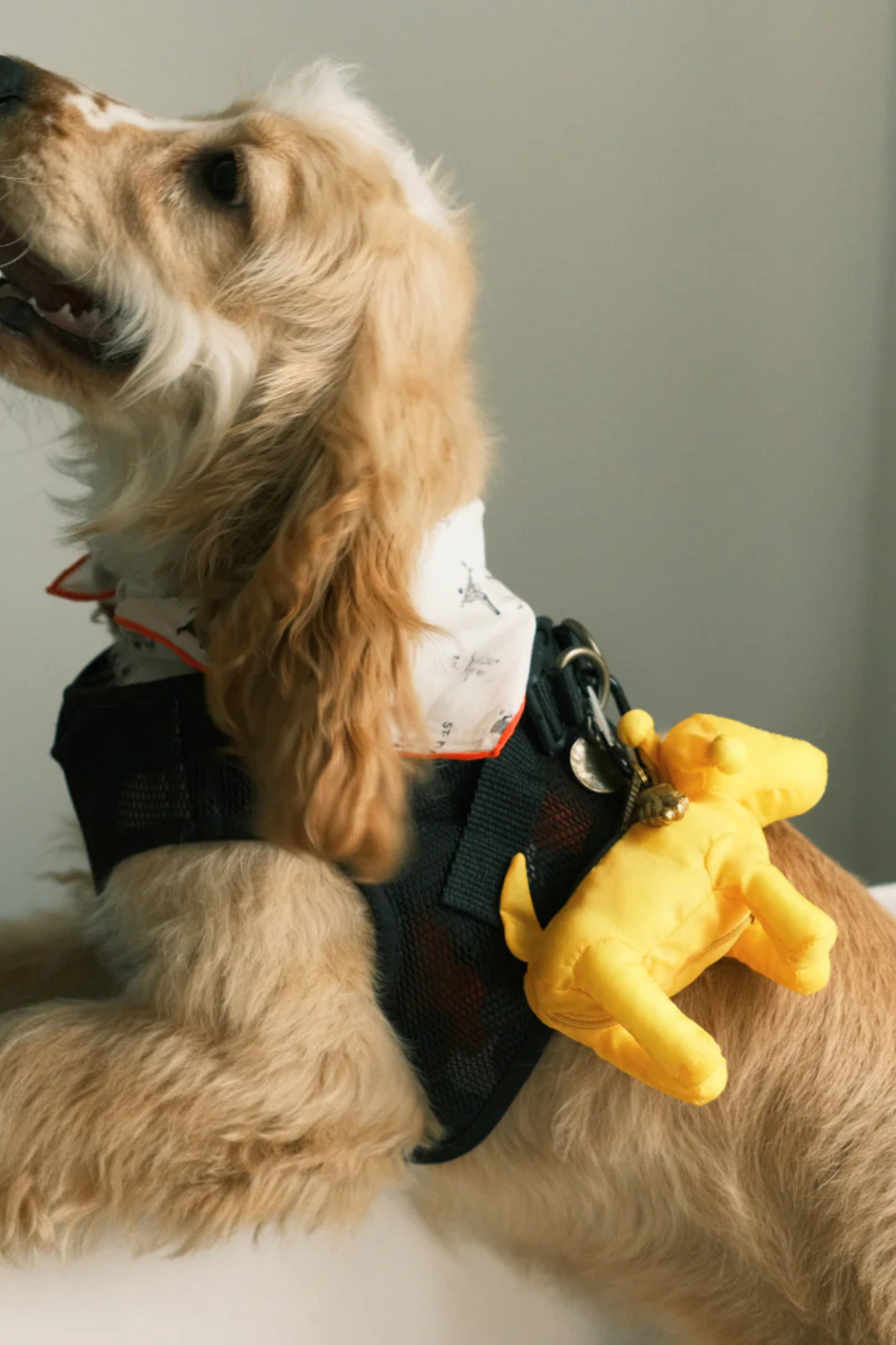 St.Pia Pompaw Katlanabilir Alışveriş Çantası