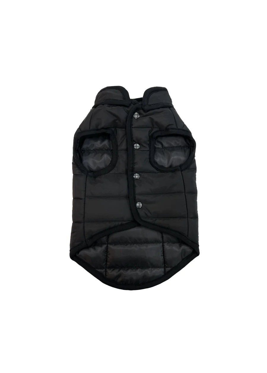 St. Pia Hive Köpek Mont