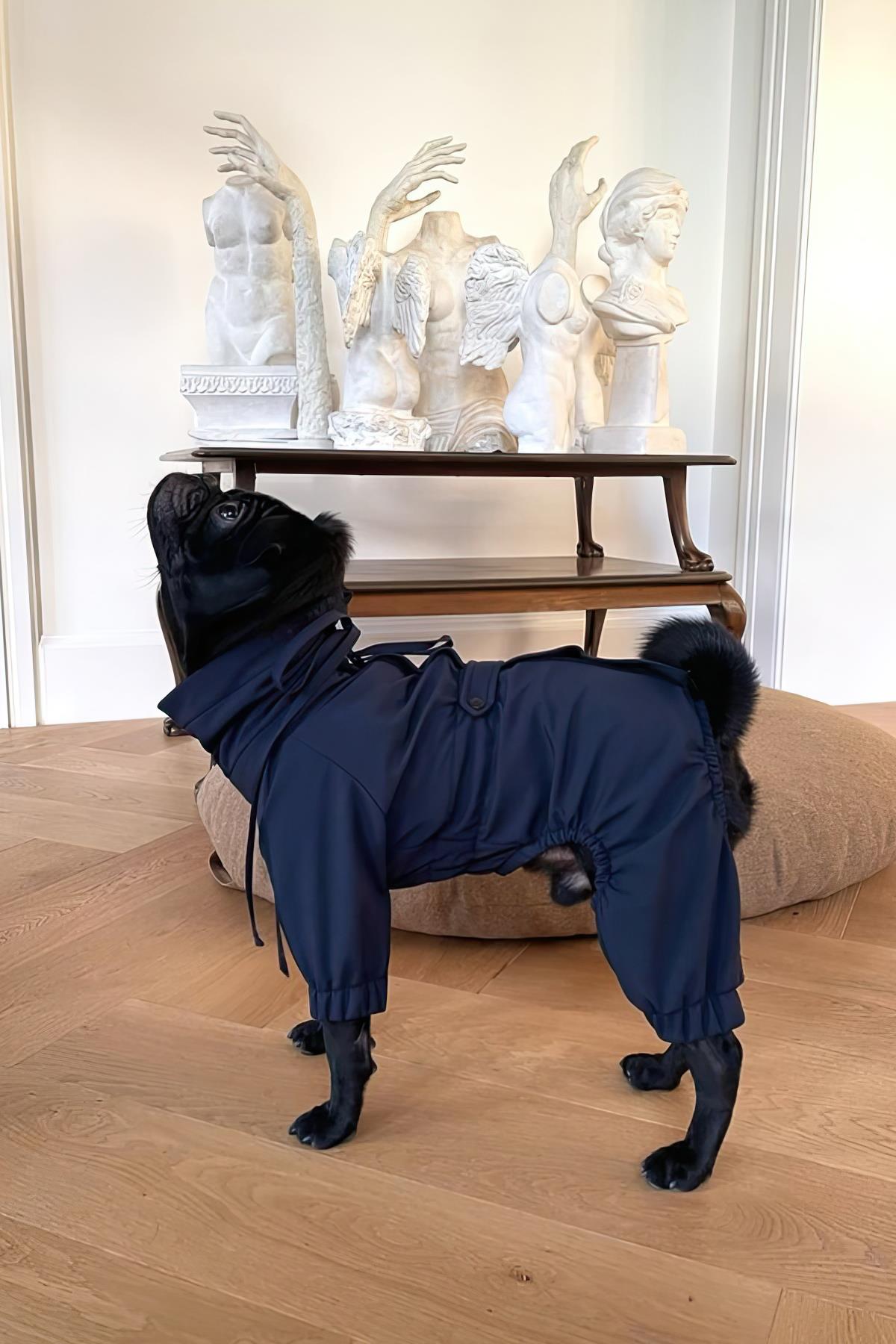 St. Pia Astro Ultimate Winter Coat Köpek Tulum Yağmurluk