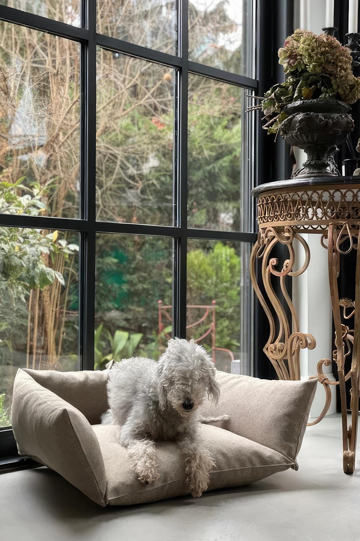 St. Pia Cornette Nutmeg Köpek Yatak