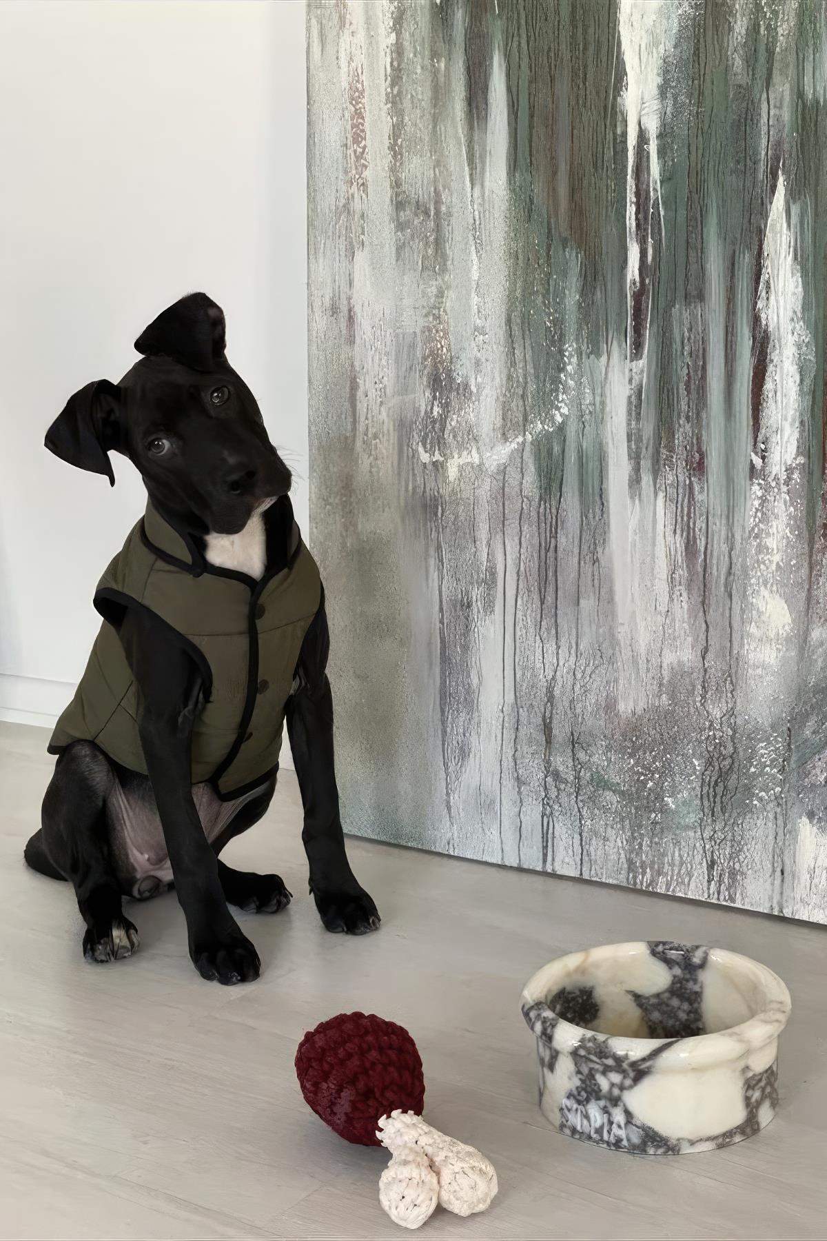 St. Pia Marbowl Spilt Ink Dog Marble Mama And Water Caution