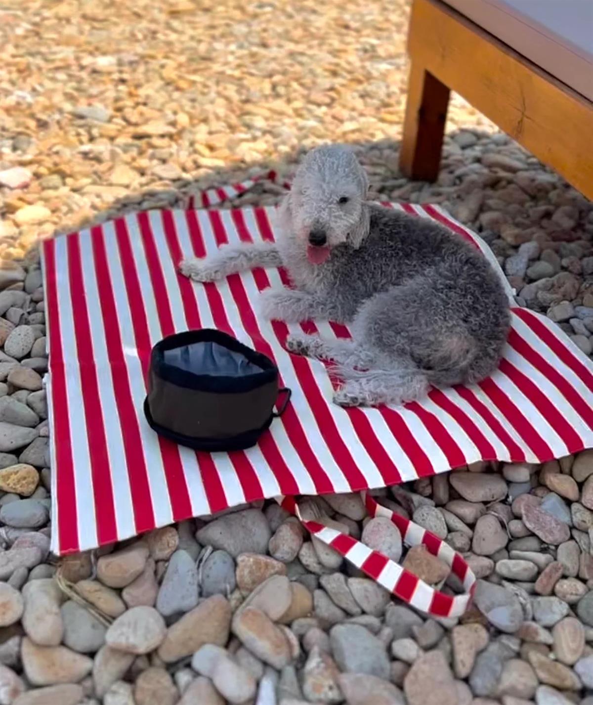 St. Pia Mat-in-a-Bag Tote and Floor Cushion Red Stripes