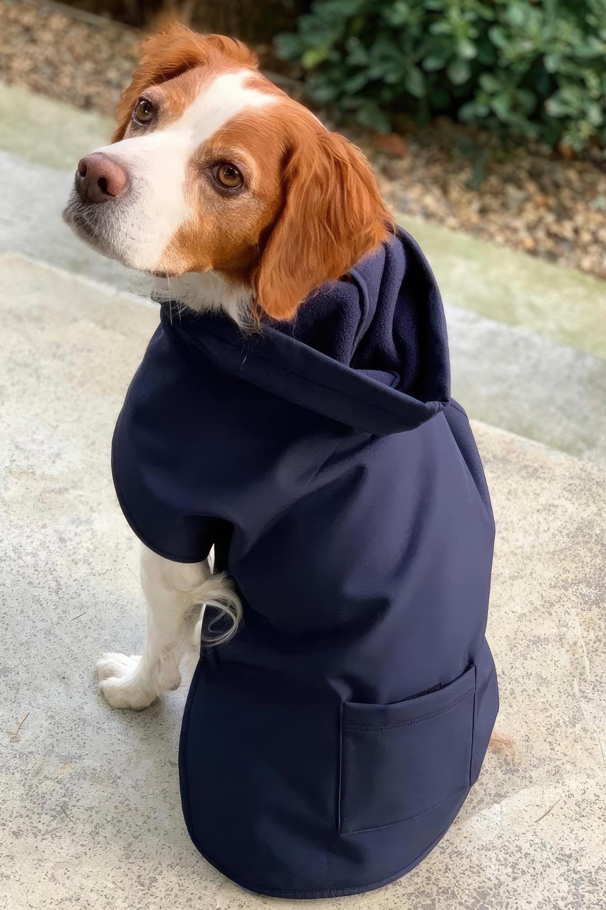 St. Pia Pluvio Raincoat Navy Köpek Yağmurluk