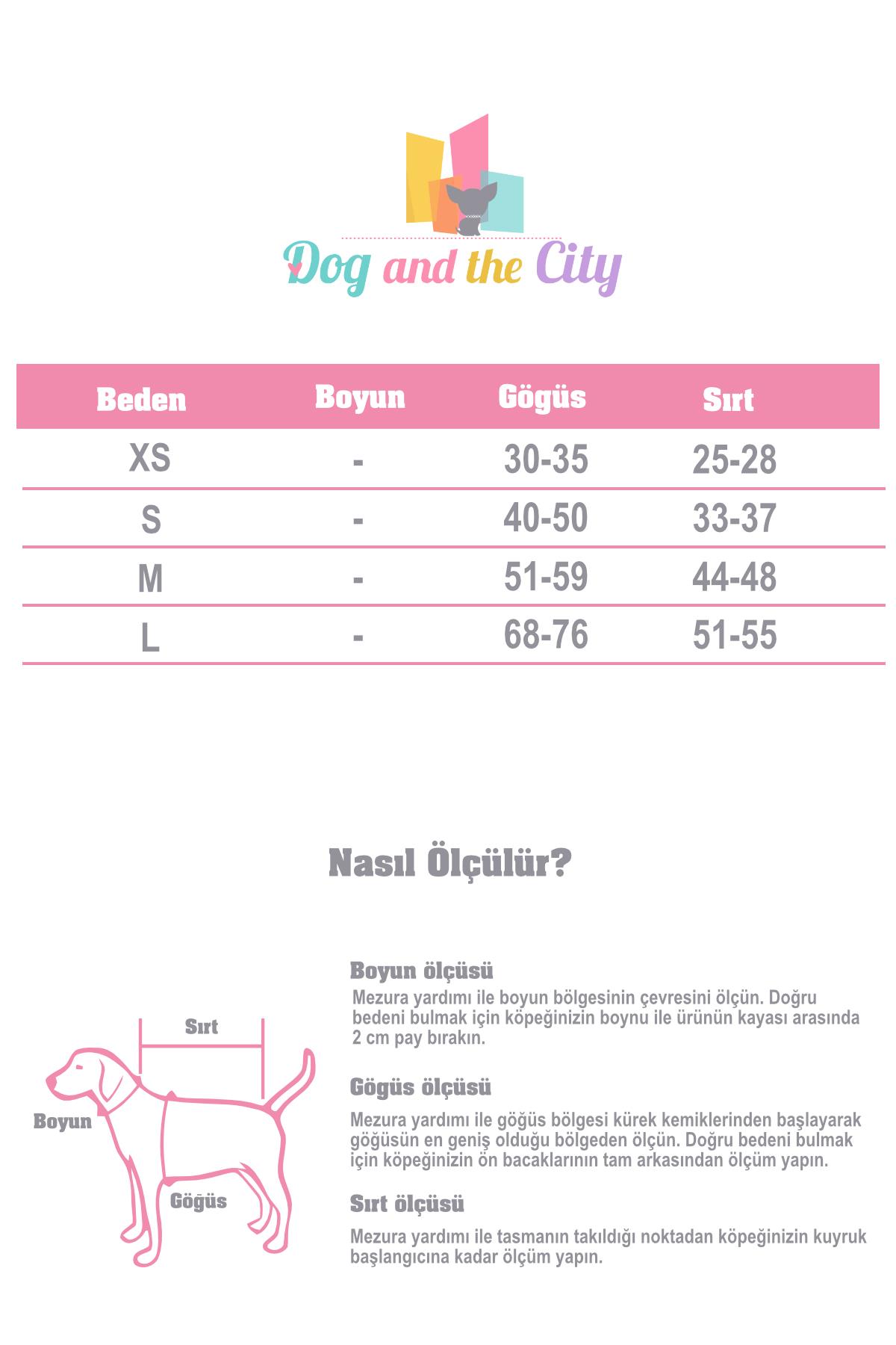 St. Pia Pluvio Raincoat Navy Köpek Yağmurluk