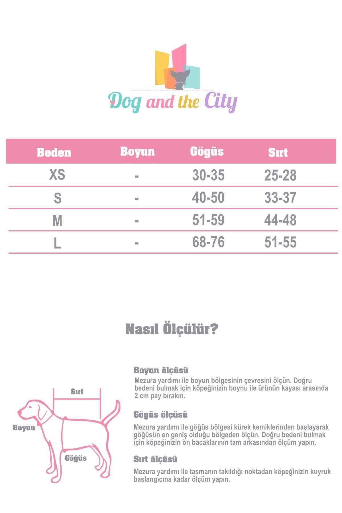 St. Pia Pluvio Raincoat Black Köpek Yağmurluk