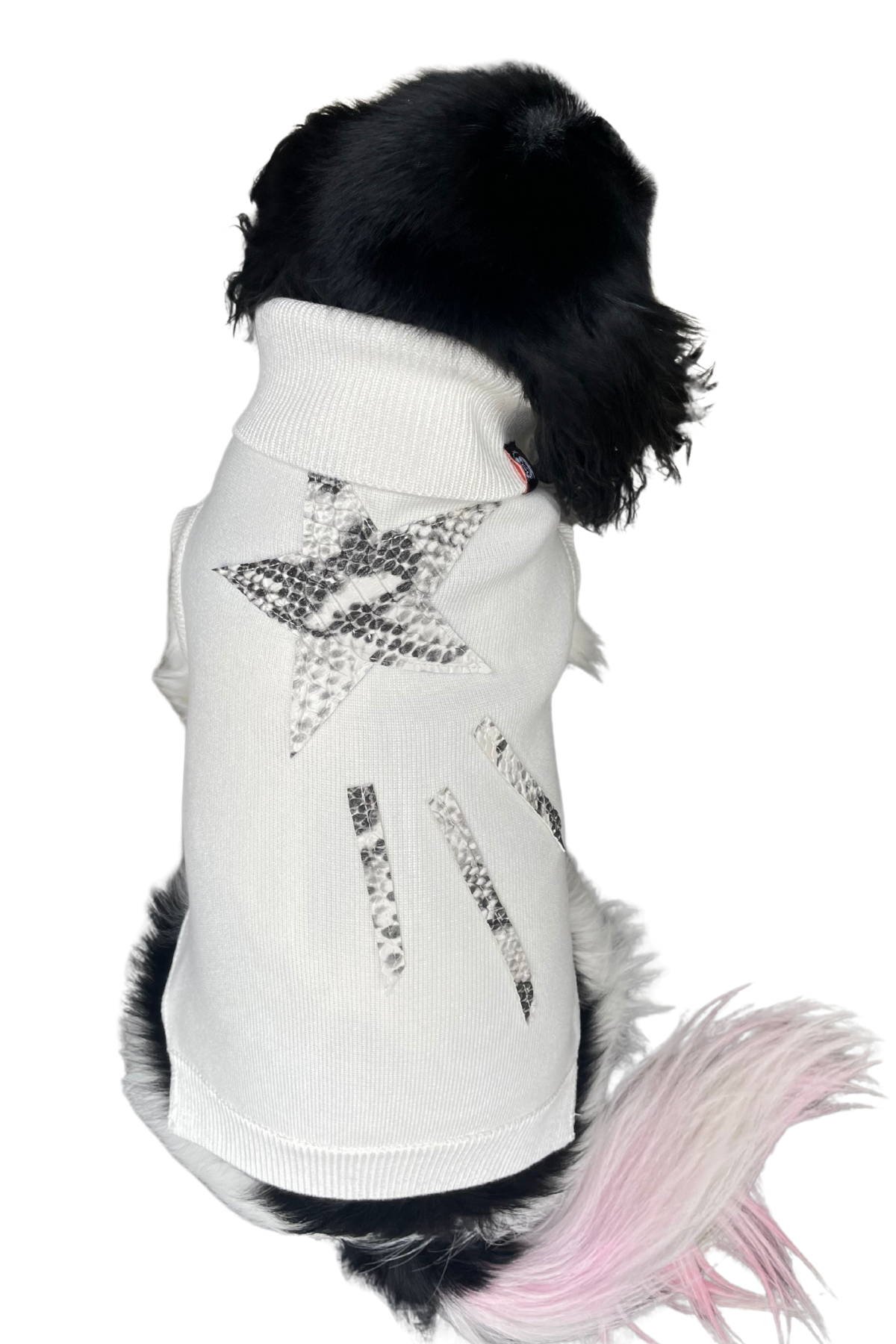 Star Ecru Köpek Kazağı
