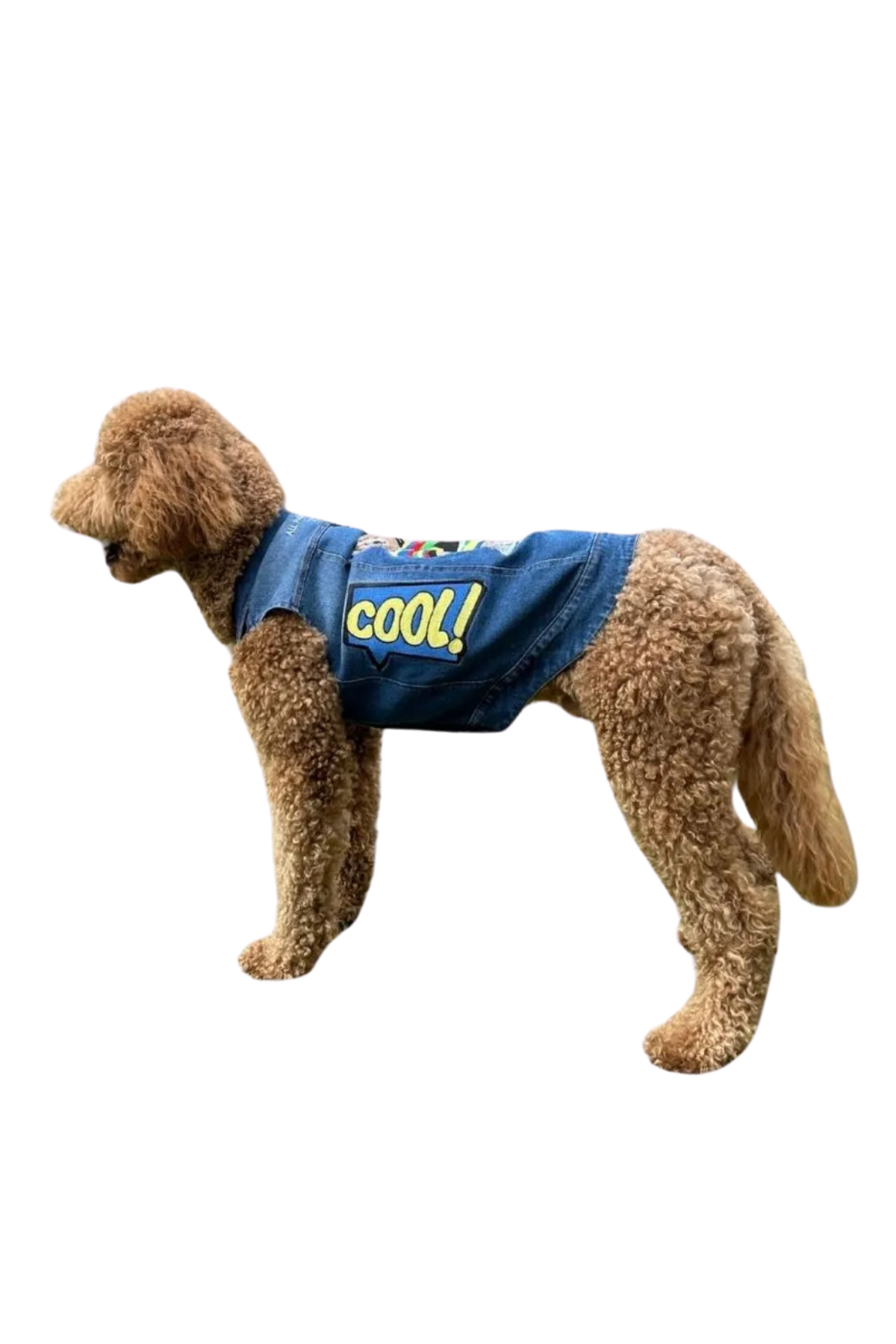 T-TOFF Ayıcıklı Kot Ceket