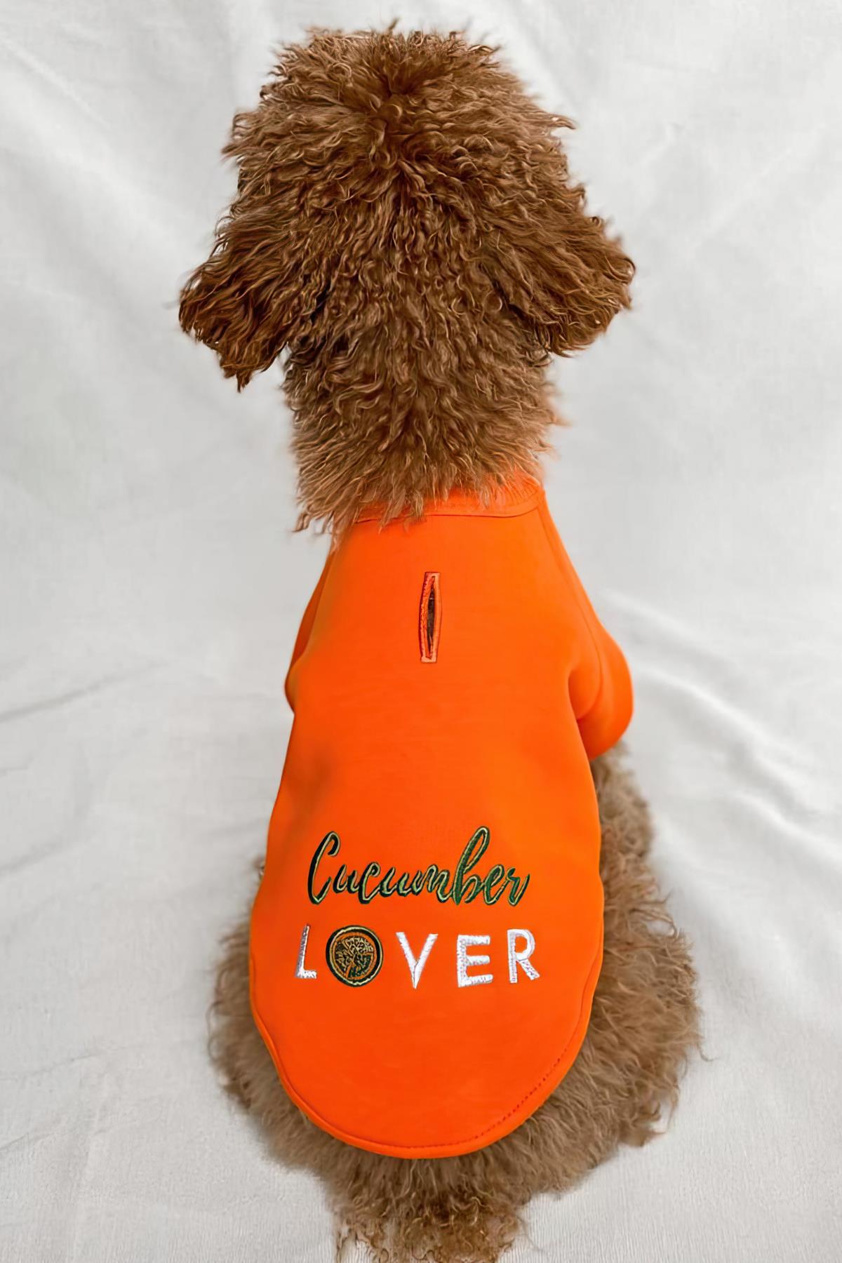 Tailless Cucumber Lover Köpek Sweatshirt