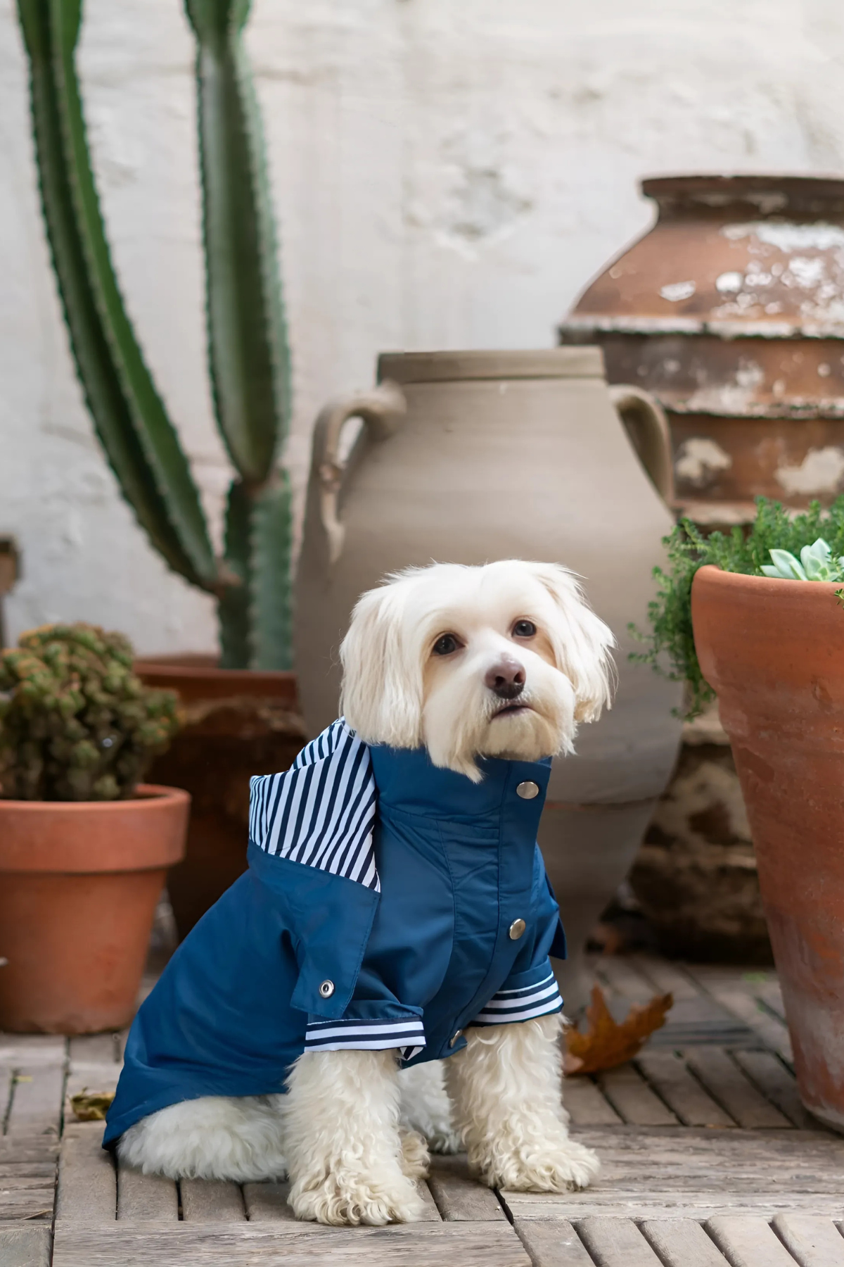 The Gang Urban Yağmurluk Navy Blue