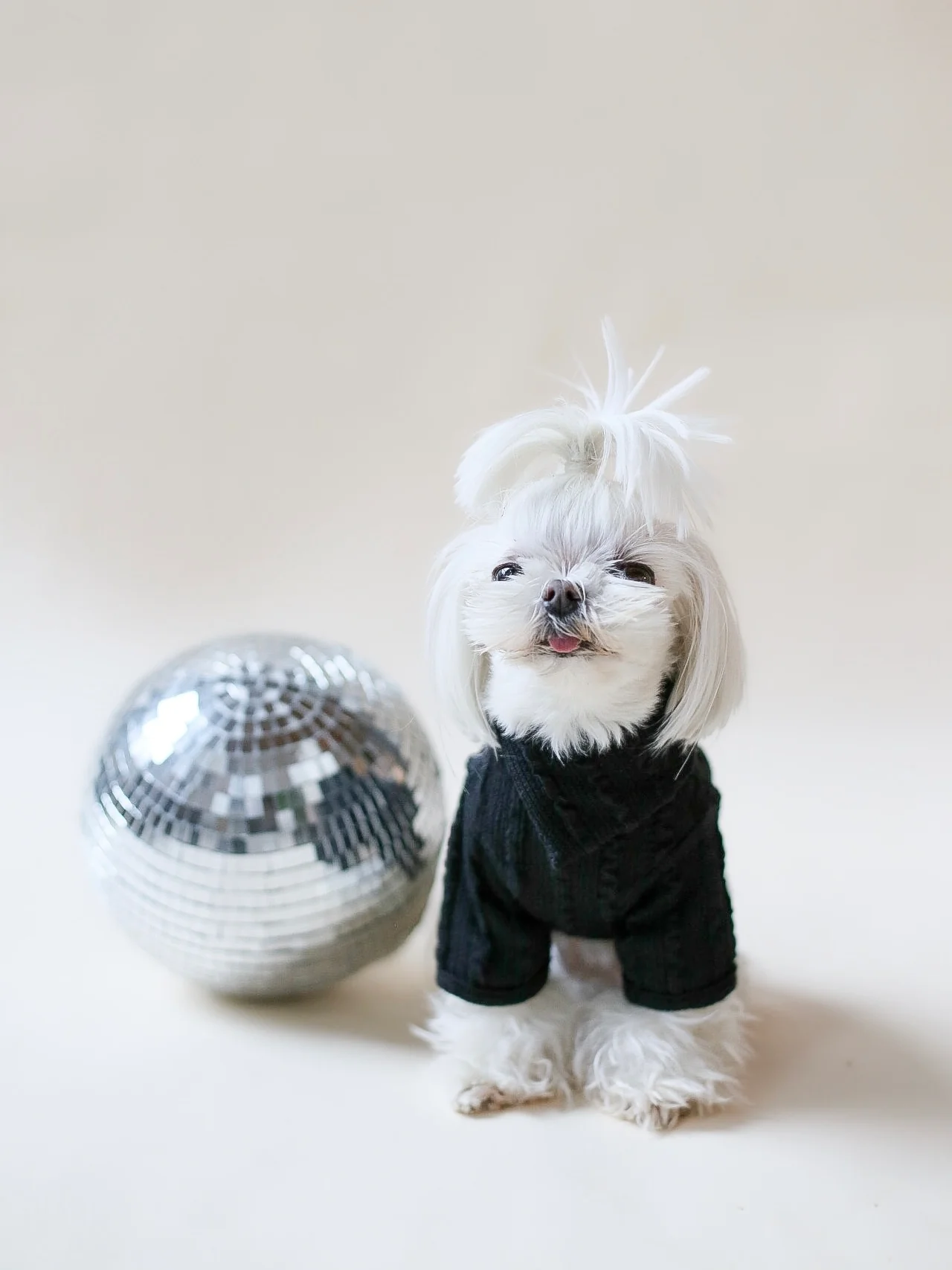 The Little Company Mireille Dog Sweater Black