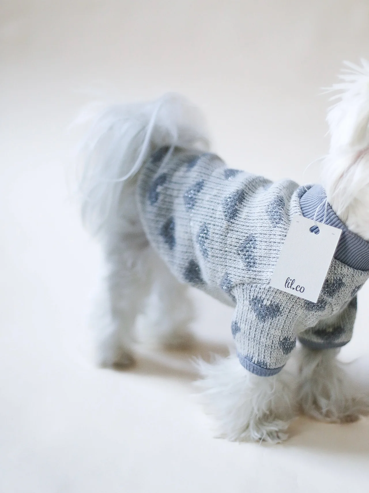 The Little CompanySweet Melody Dog Sweater Gray