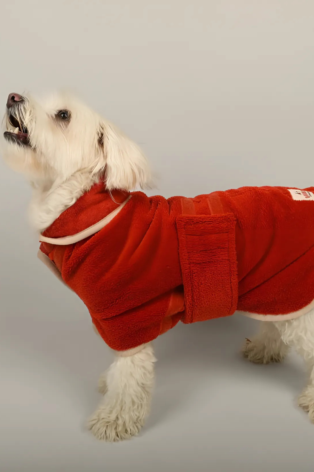 TheGang Bornoz Puréed Pumpkin 