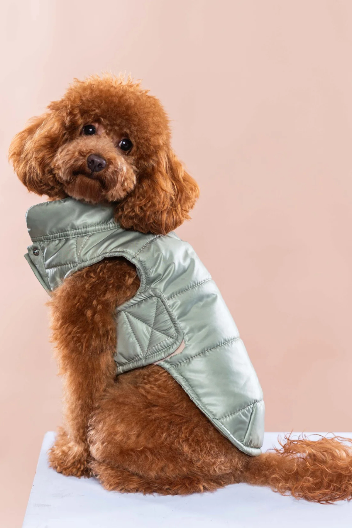 TheGang Puffer Yelek Matcha Green 