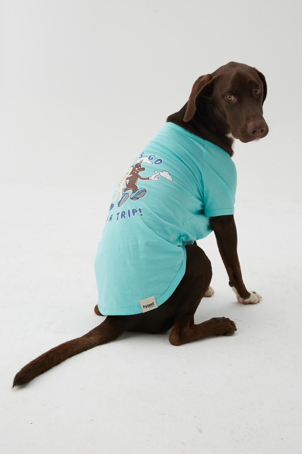 Hypet Fashion Trip Tee Dog Tshirt