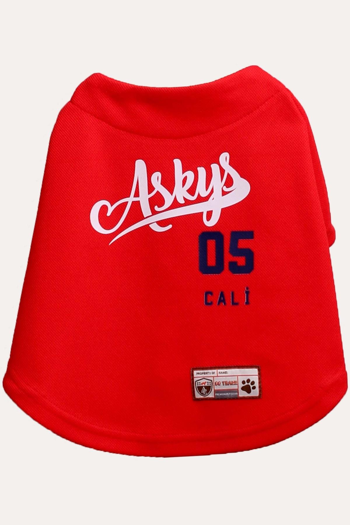 Tshirt | Askys Baseball Team