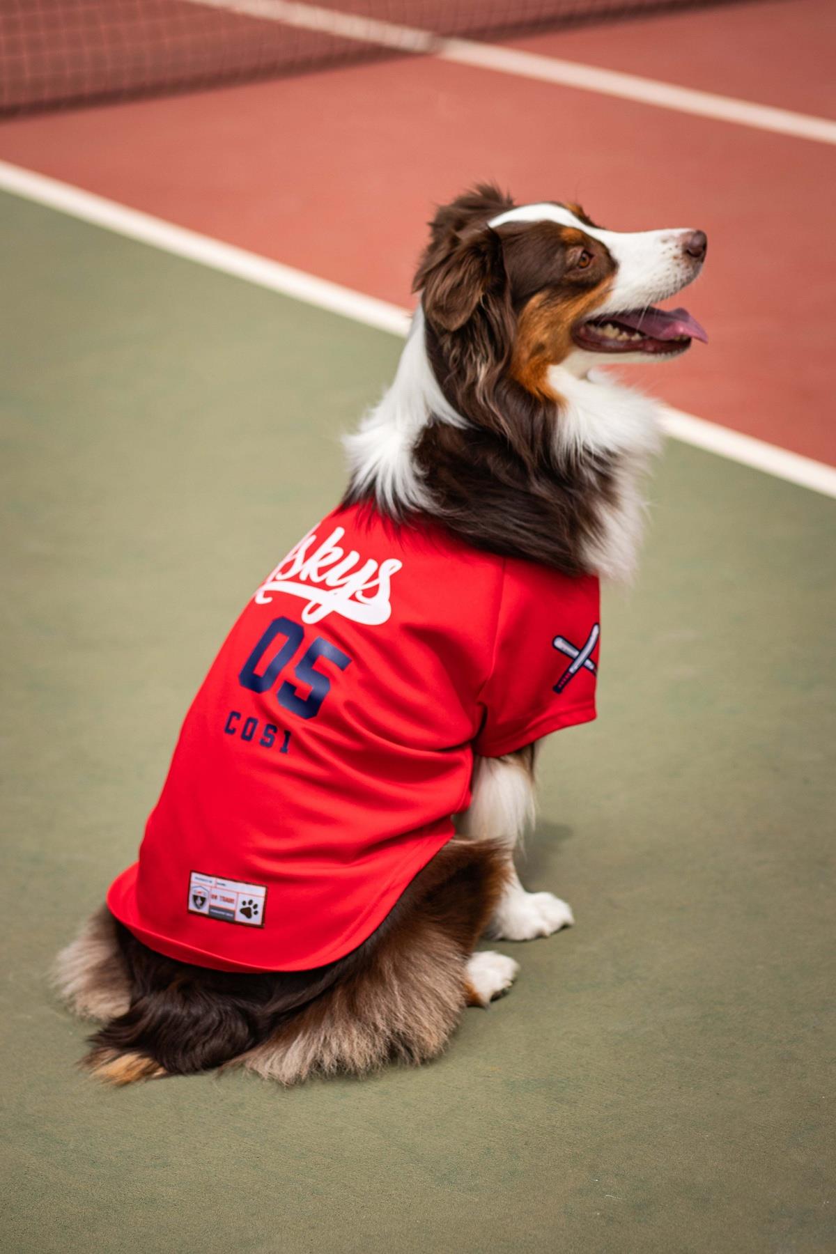 Tshirt | Askys Baseball Team