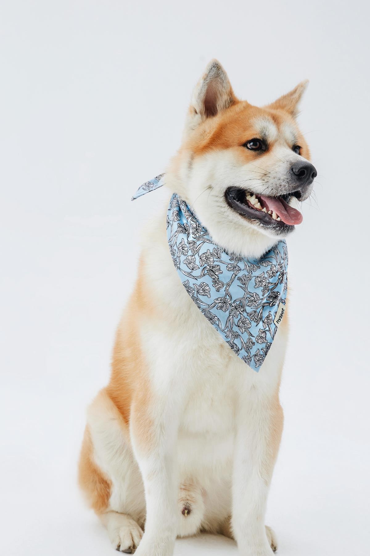 Hypet Fashion Tulip Bandana