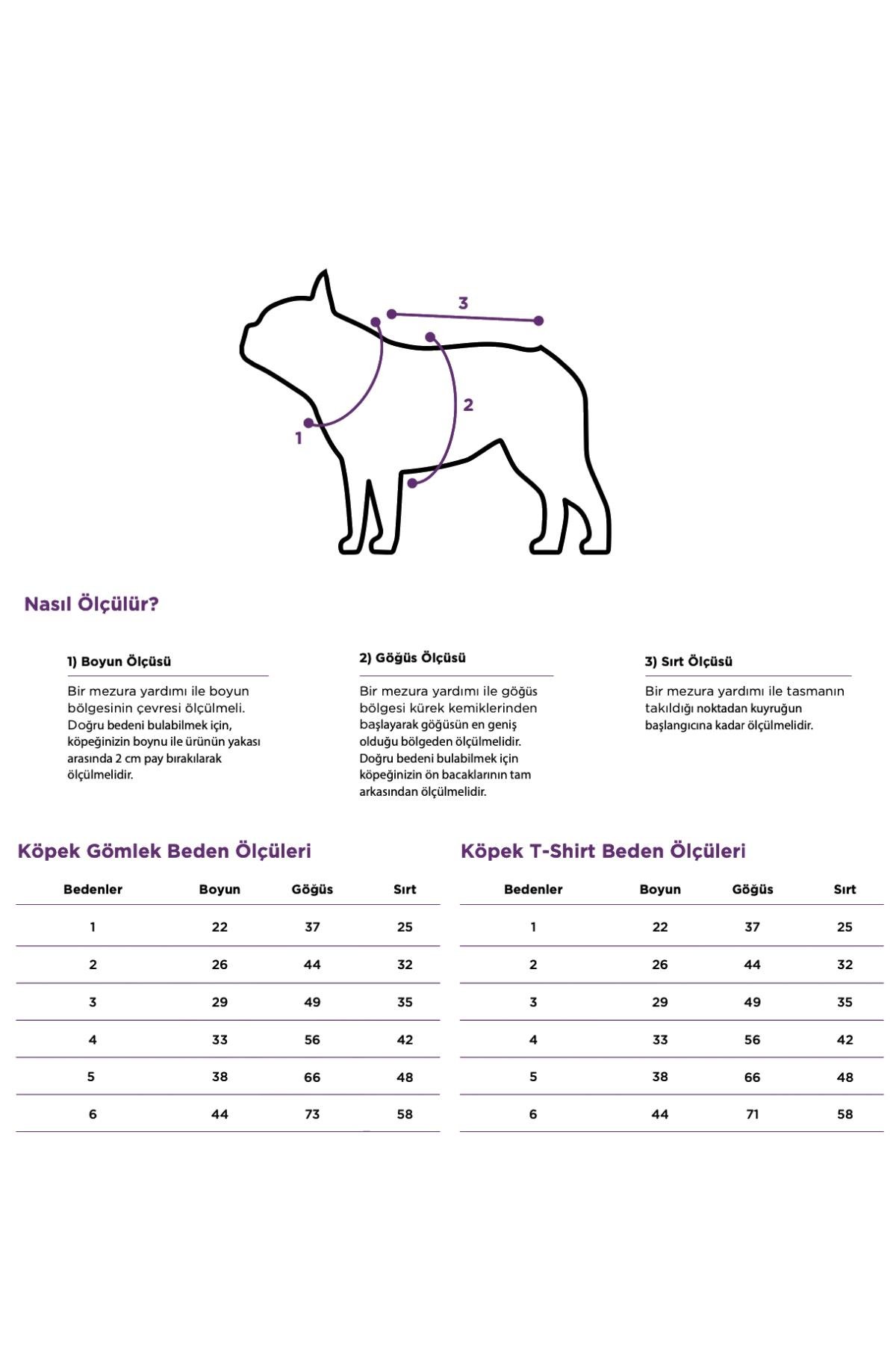 Tulip Gömlek Kombini