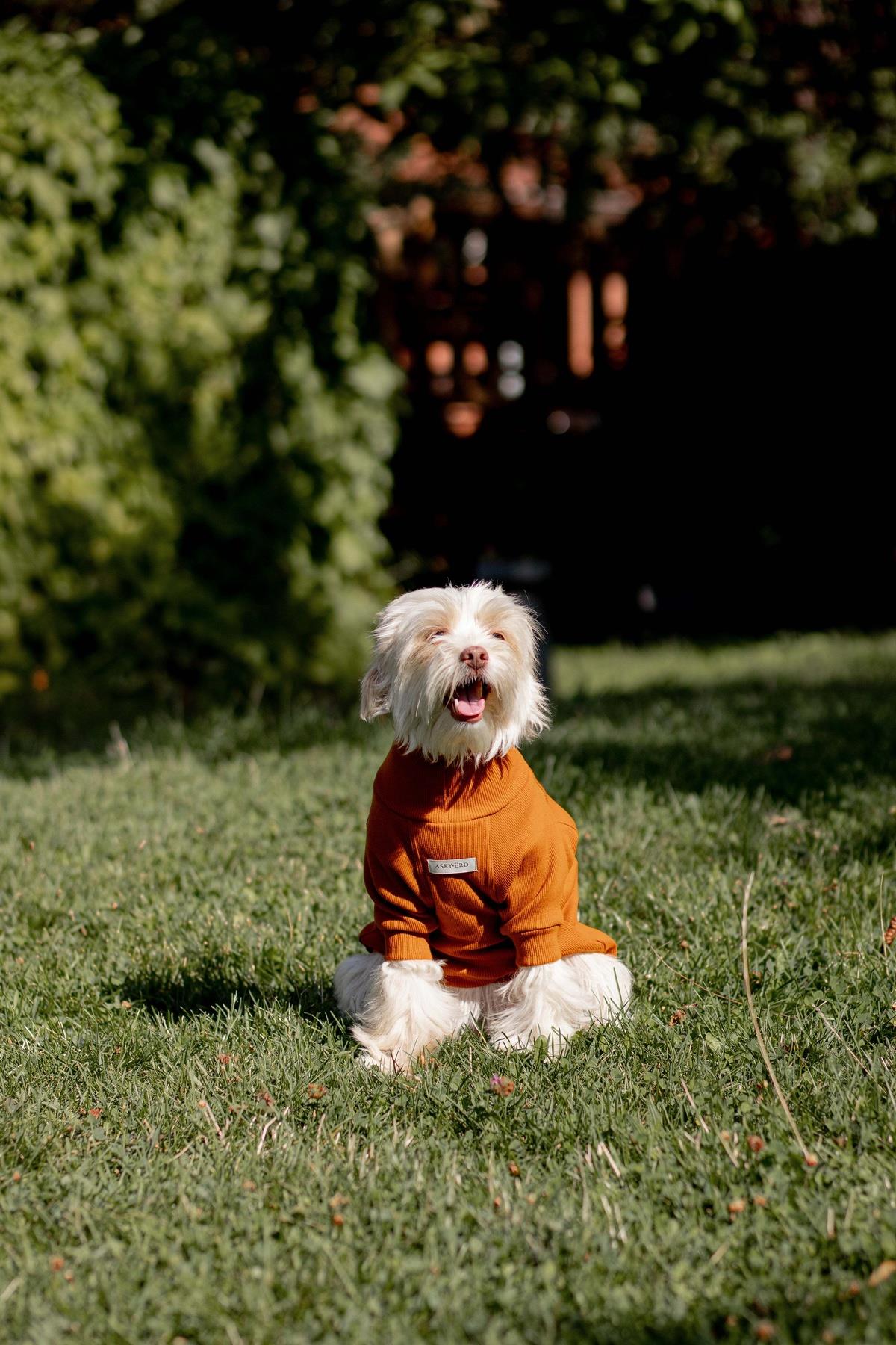 Turtleneck Tshirt | Cinnamon Glow