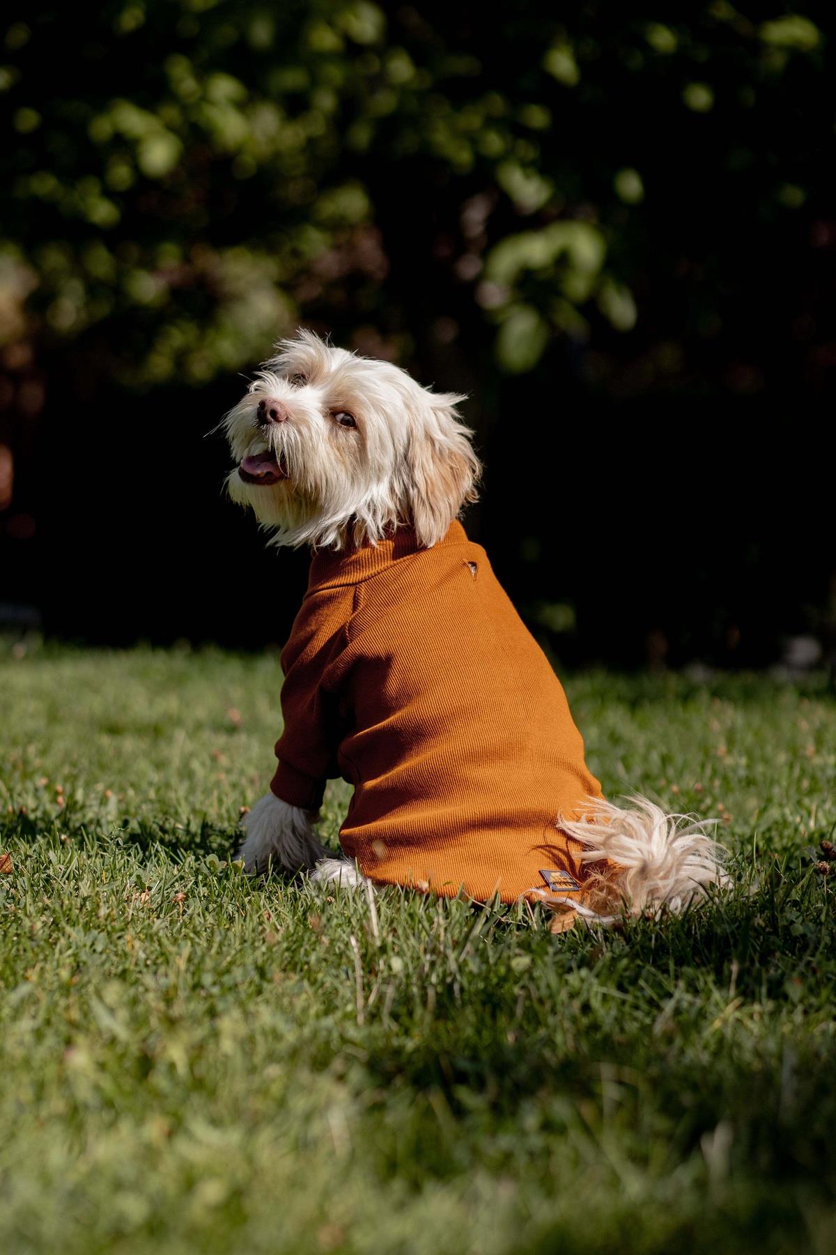 Turtleneck Tshirt | Cinnamon Glow
