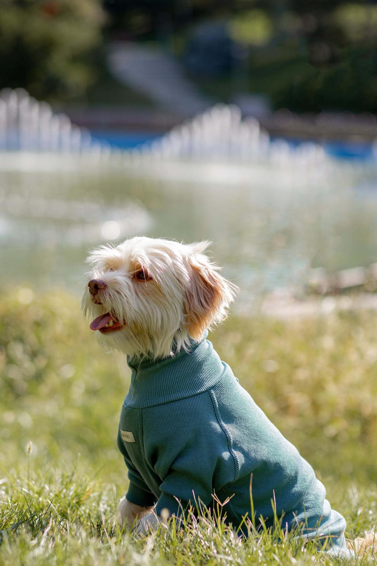 Turtleneck Tshirt | Ocean Sage