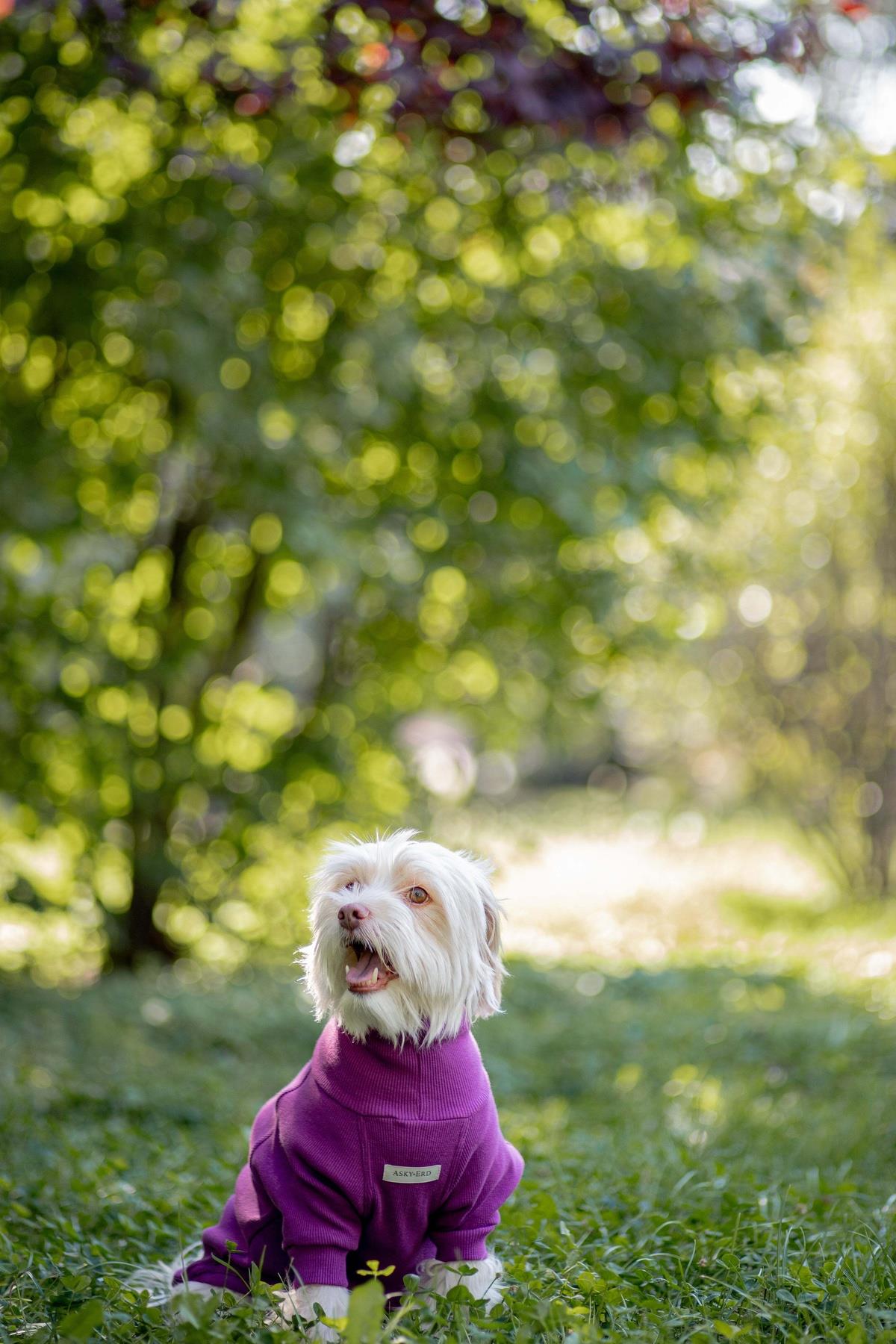 Turtleneck Tshirt | Royal Plum