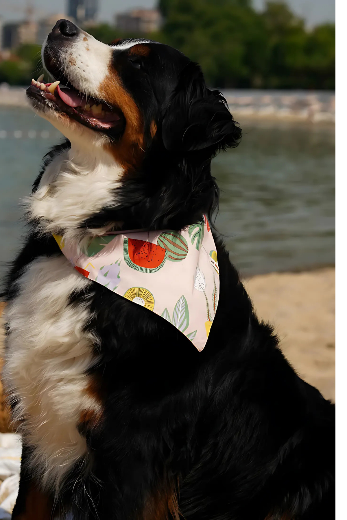 Urban Chic Bandana Rio