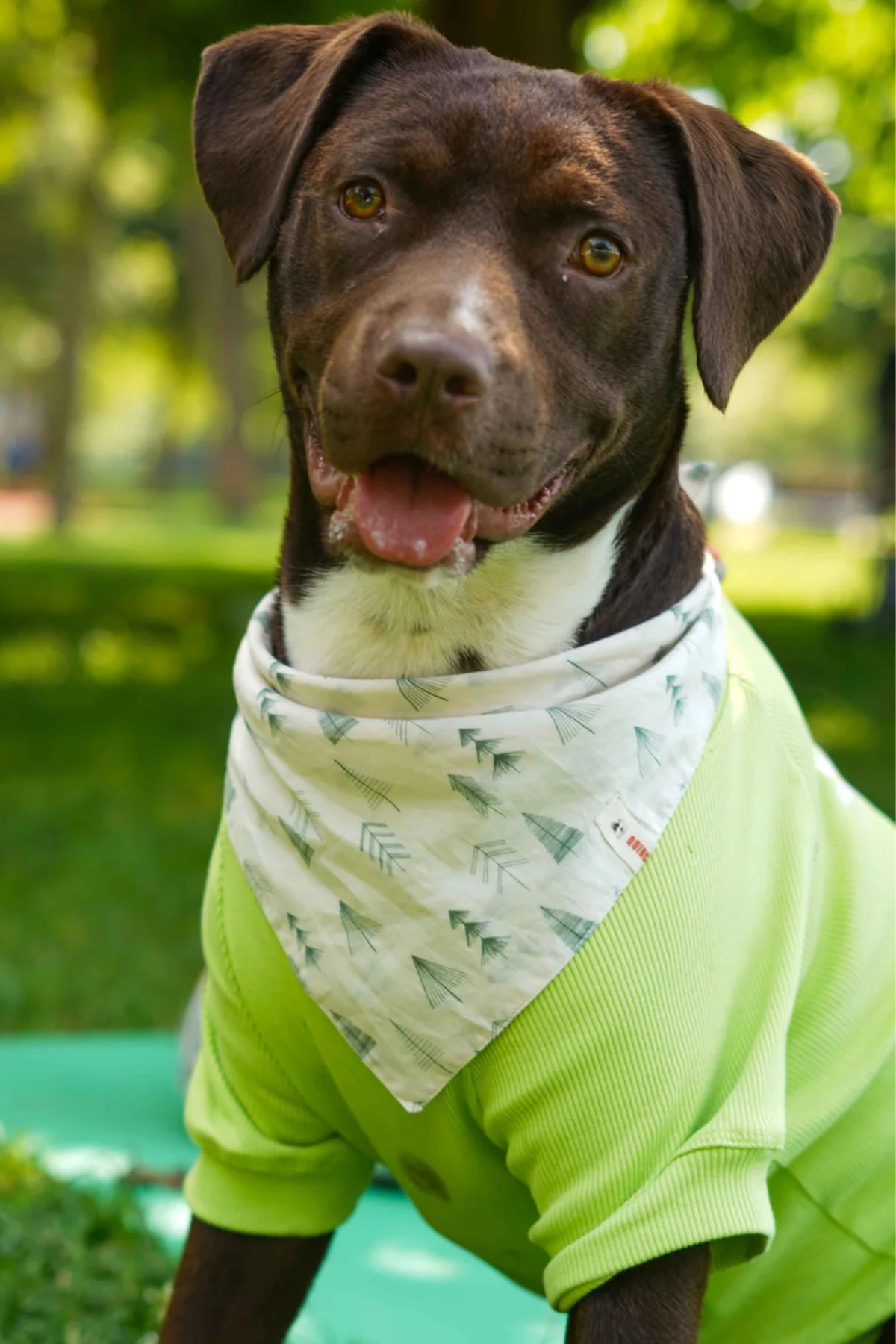 Urban Chic Bandana Tulum